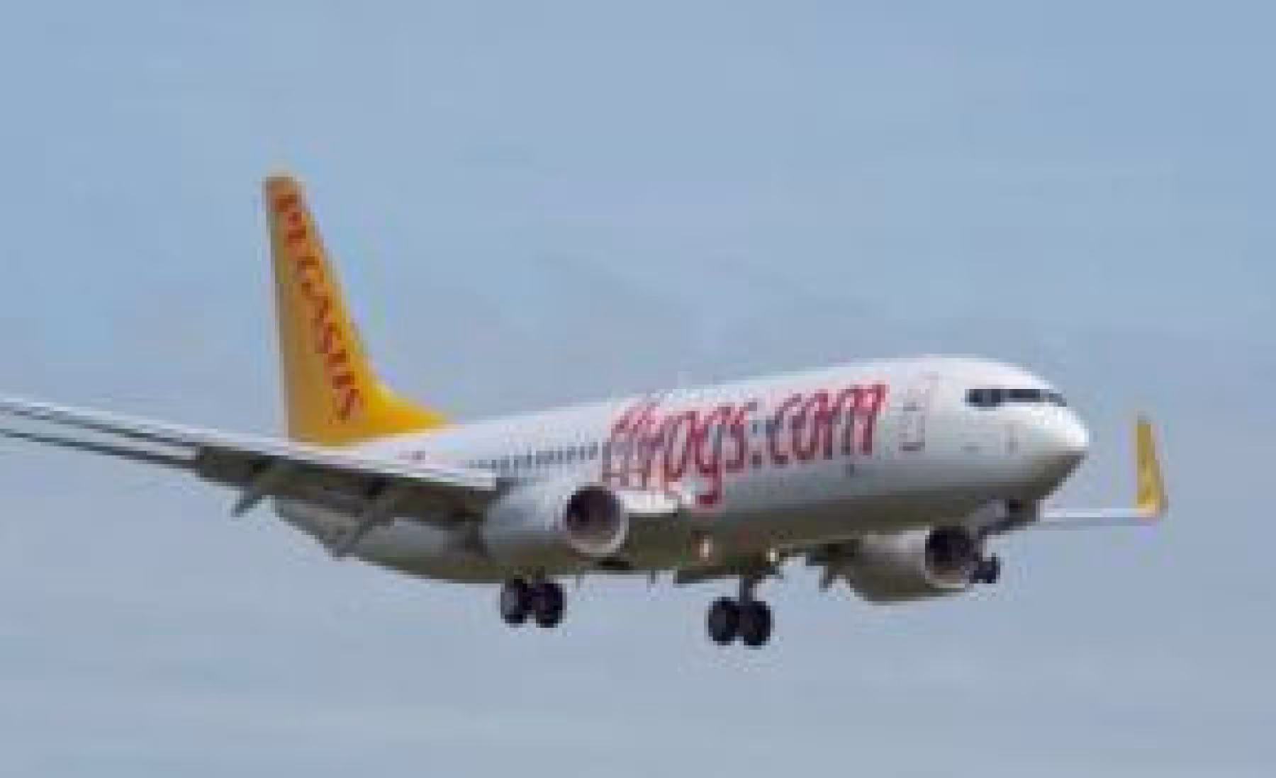 AMOS to support growth of Pegasus Airlines